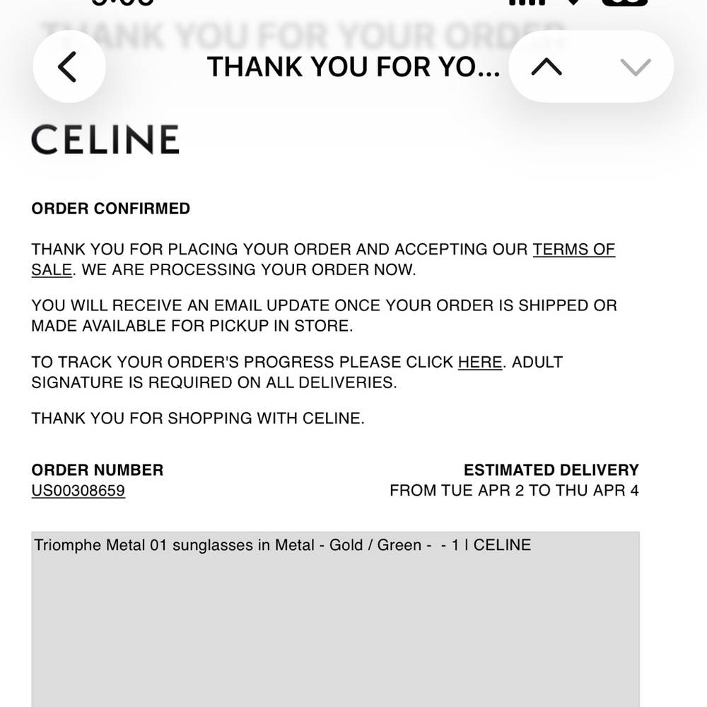 Celine Triomphe Metal 01 Sunglasses - Picture 5 of 7